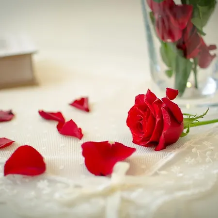 Tenuta Umberto I ファームステイ