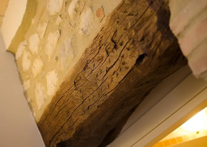 Alloggio per agriturismo Tenuta Umberto I Ripacorbaria